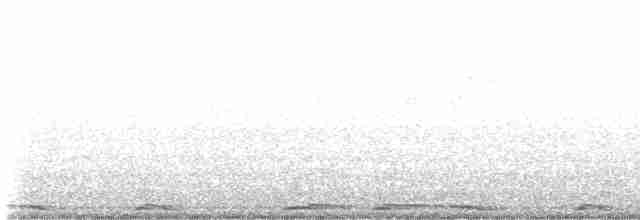 Eurasian Collared-Dove - ML619334105
