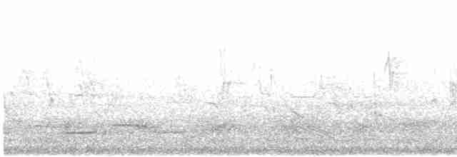 チャイロツバメ - ML619334468