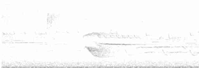 Дрізд-короткодзьоб бурий - ML619334728