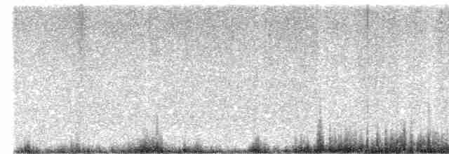 Great Reed Warbler - ML619335173
