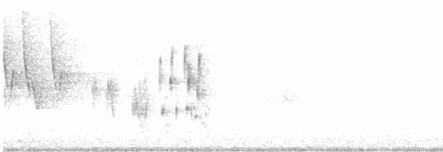 Hirondelle bicolore - ML619336007