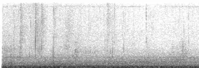 Clamorous Reed Warbler - ML619336667