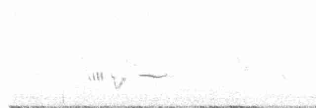 Rufous-tailed Scrub-Robin - ML619336671