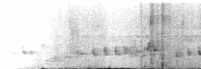 Buff-collared Nightjar - ML619336692