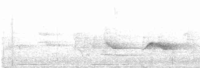 Kara Kanatlı Piranga - ML619336964
