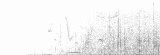 holoubek hnědoprsý - ML619337580