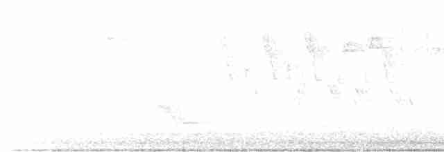 svartbrystparula - ML619337677