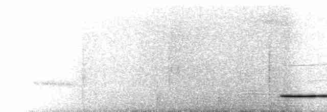 Кустарниковый скрытохвост - ML619338024