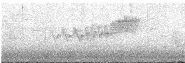 lesňáček modropláštíkový - ML619338158