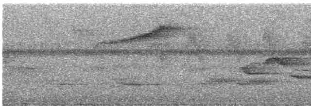 Picoplano de Anteojos - ML619338225
