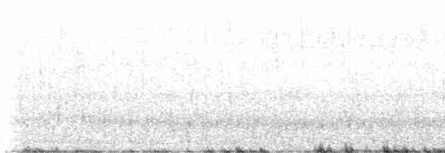 Дрізд-короткодзьоб плямистоволий - ML619338467