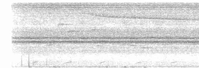 holub světleoký - ML619338478