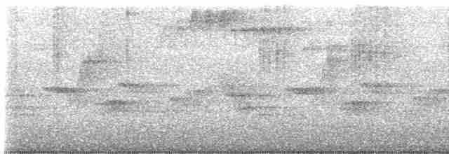 Колібрі-самоцвіт аметистовогорлий - ML619338554