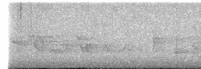 Cerulean Warbler - ML619338617