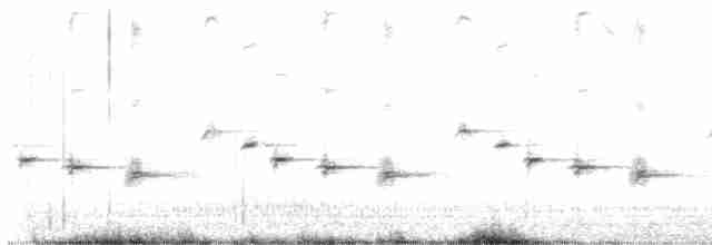 Boz Kamçıkuşu - ML619339201