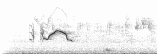 Короткопалый хохлатый жаворонок - ML619339368