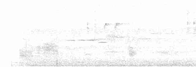 brunhettelattertrost - ML619339547