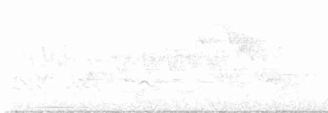 Kentucky Warbler - ML619340095