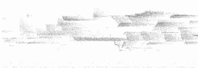 Chochín Hiemal - ML619340754