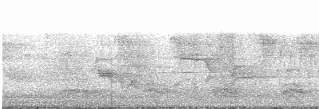 Черногорлая хвойница - ML619340827