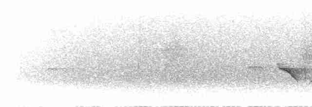 Даурская желтоспинная мухоловка - ML619340962