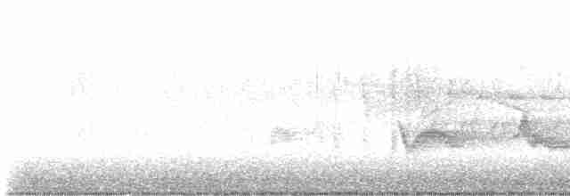 Чернокрылая пиранга - ML619341679