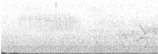 Dağ Serçe Baykuşu [californicum grubu] - ML619341769