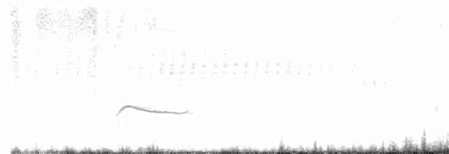 Рыжебрюхий фиби - ML619341830