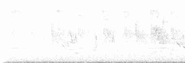 lesňáček černohlavý - ML619342228