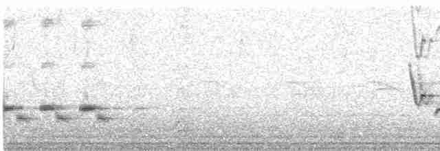 Sinsonte Norteño - ML619342469