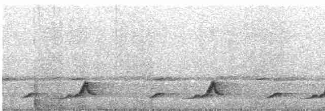 Schwarzkehl-Nachtschwalbe - ML619342505