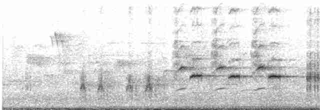 Great Reed Warbler - ML619342801