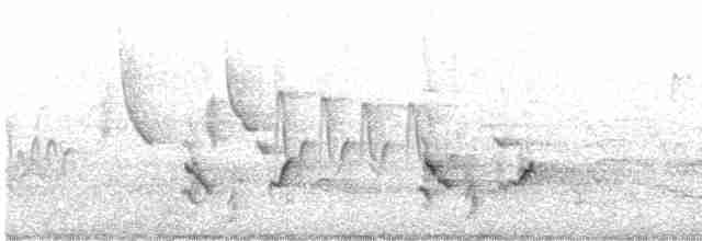 Katzenspottdrossel - ML619342973
