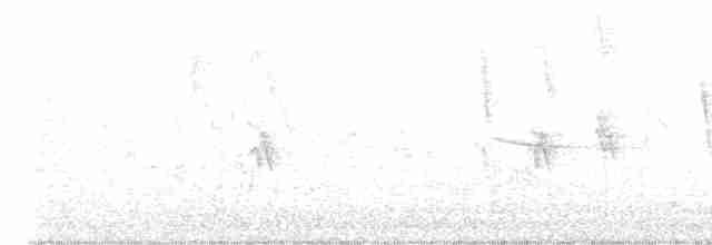 Малая вильсония - ML619343122