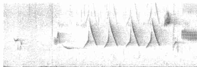 ゴマフスズメ（schistacea グループ） - ML619343279