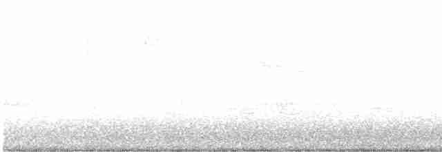 Paruline rayée - ML619343291