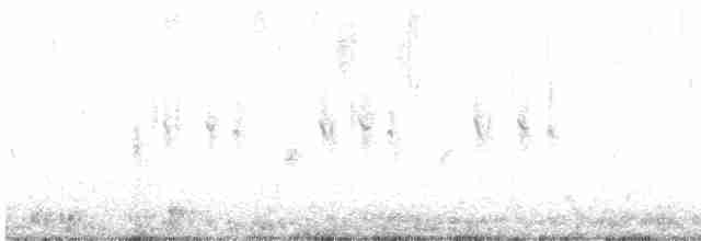 Common Yellowthroat - ML619343471