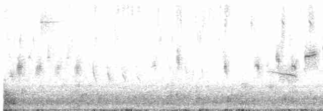 Common Yellowthroat - ML619343472