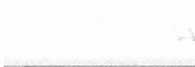 Приречная хвойница - ML619343604