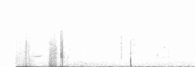Beyaz Belli Şama - ML619343818