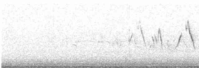 Common Yellowthroat - ML619343885