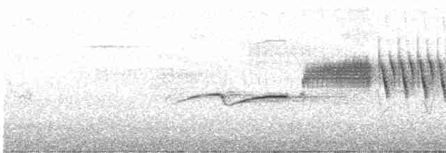 Bruant à couronne blanche (nuttalli) - ML619343924