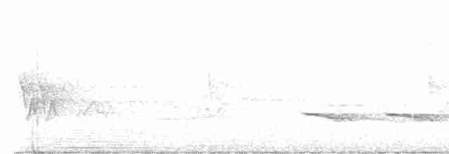 Черногорлая хвойница - ML619344196