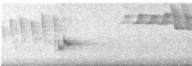 Желтоплечая пиранга - ML619344752