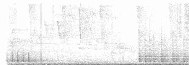 Дятел-смоктун жовточеревий - ML619345054