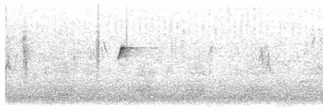 דוחל שחור-גרון - ML619345059