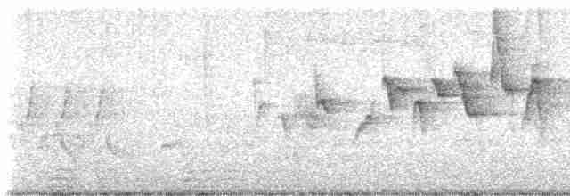 Canada Warbler - ML619345615