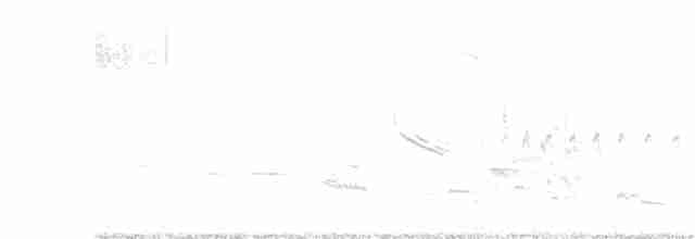 Common Yellowthroat - ML619345659