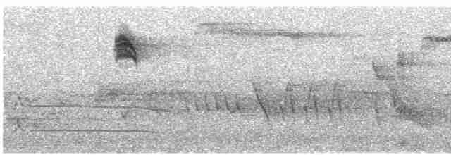 Мухоловка сіра - ML619345959