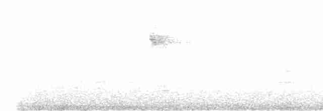 Spotted Flycatcher - ML619346062